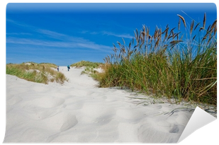 Couple Walking In The Sand Dunes With Beach Grass Wall - Ameland (400x400), Png Download