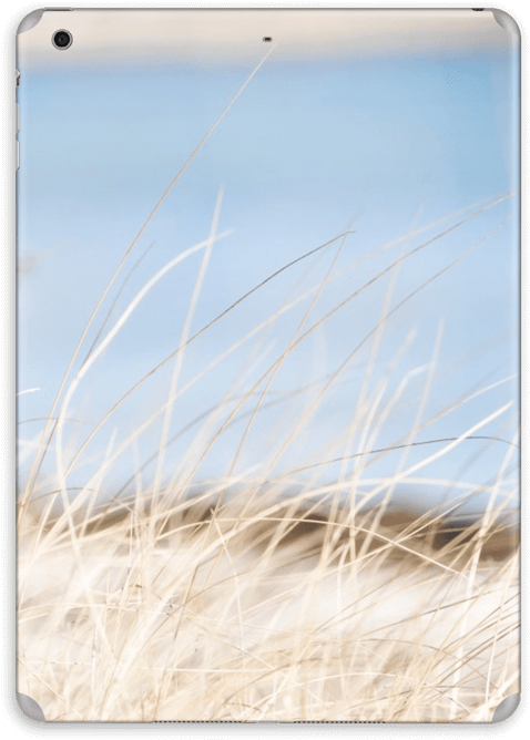 Beach Grass - Grass (573x800), Png Download