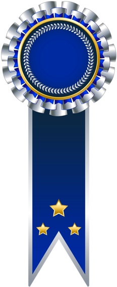 Clip Art, Rosettes, Scrapbook Images, Banner, Ribbon - Trophy (254x600), Png Download