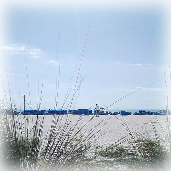 Beach View - Sea (600x600), Png Download