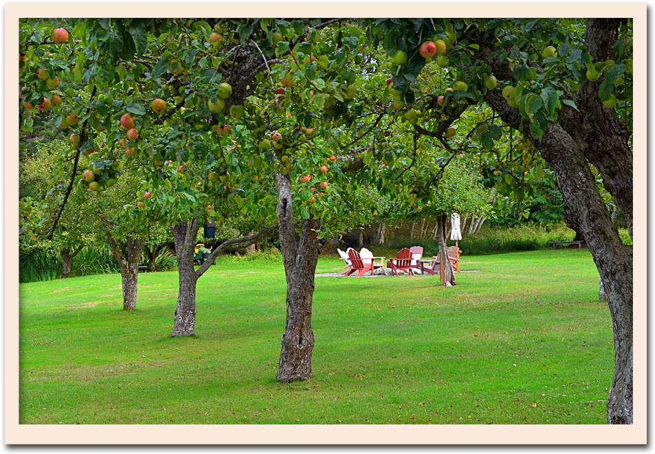 Orchrd Firepit - Fire Pit (1024x720), Png Download