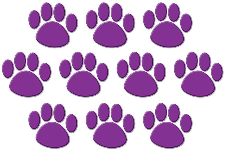 Purple Paw Prints Accents Tcr4646 Teacher Created - Orange Paw Prints (900x900), Png Download