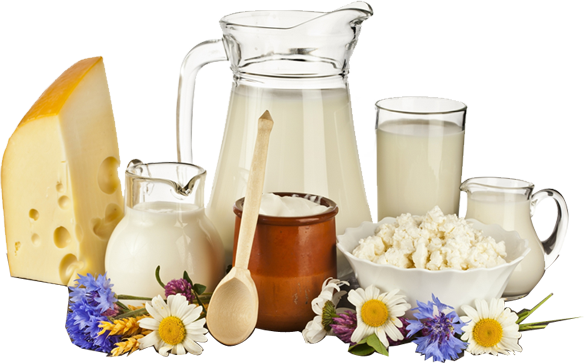 Dairy Products Suppliers Sharjah - All Dairy Products Photo With Name And Detail List (584x363), Png Download