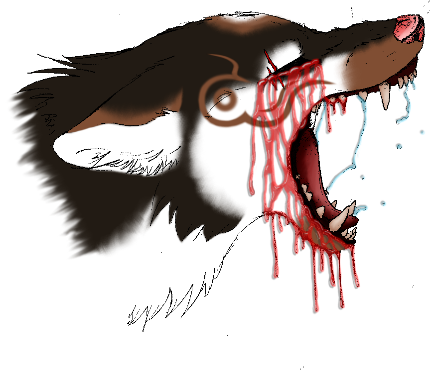 Bloody Tears By Pandoraswolf-d679thg - Illustration (1024x743), Png Download