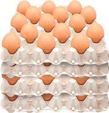 Avinal Huevo Rojo Jumbo Canasta Por 60 Unidades - Egg (600x600), Png Download