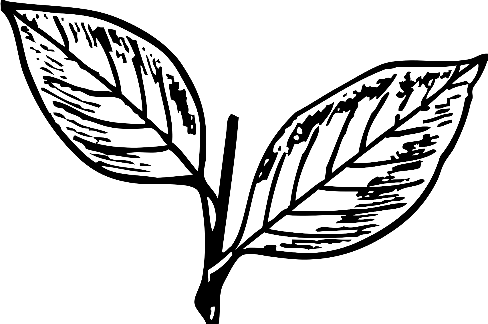 Open - All India Anna Dravida Munnetra Kazhagam Symbol (2000x1417), Png Download