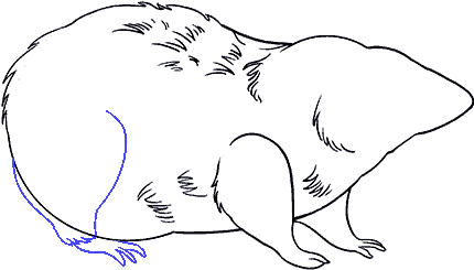 Clip Art Transparent Library How To A Rat - Rat (678x600), Png Download