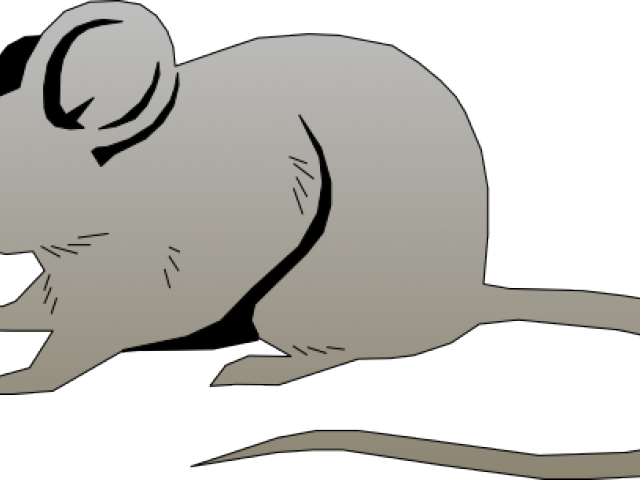 Mice Clipart Rat - Mouse Free Vector (640x480), Png Download