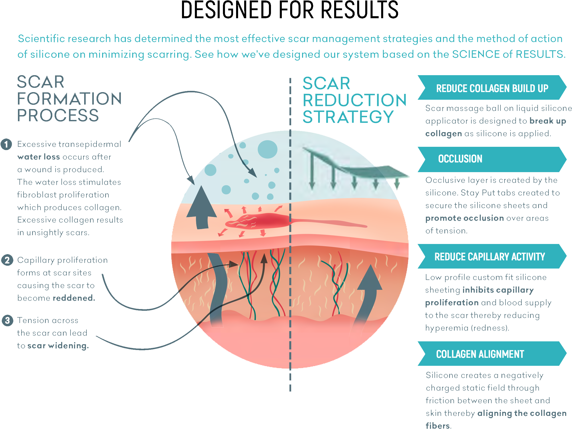 How Fade Away Silicone Works On Scars - Diagram (2598x1772), Png Download