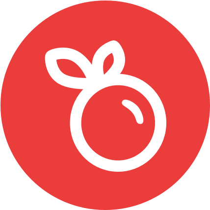Redberry - Red Google Plus Icon (457x457), Png Download