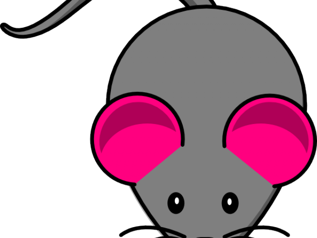 Rat Clipart Gray Mouse - Clip Art (640x480), Png Download