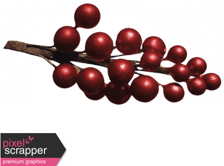 Red Berry Branch - Digital Scrapbooking (456x456), Png Download