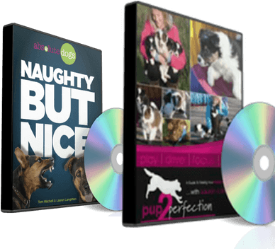 P2p & Nbn Dvd Digital Download Bundle - Naughty But Nice Dvd (400x400), Png Download