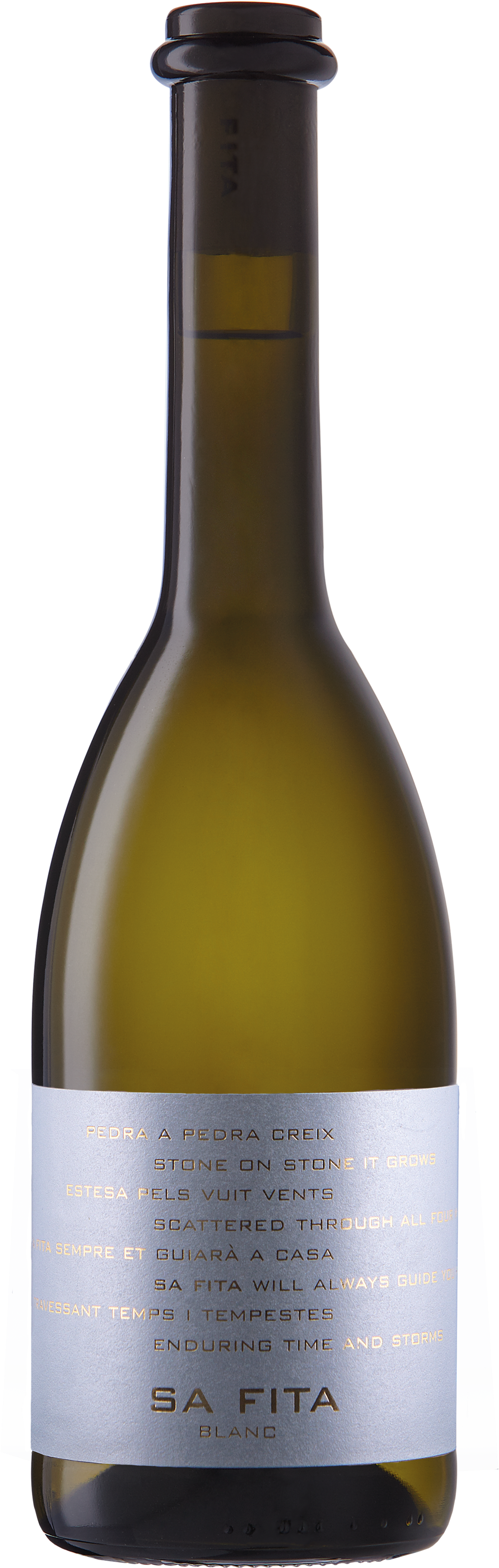 Sa Fita 2017 Bio - Es Fangar (1805x4096), Png Download