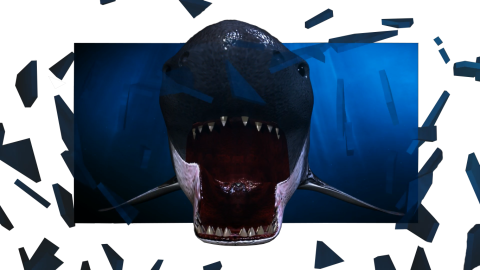 Dangerous Ar Money - Shark (480x270), Png Download