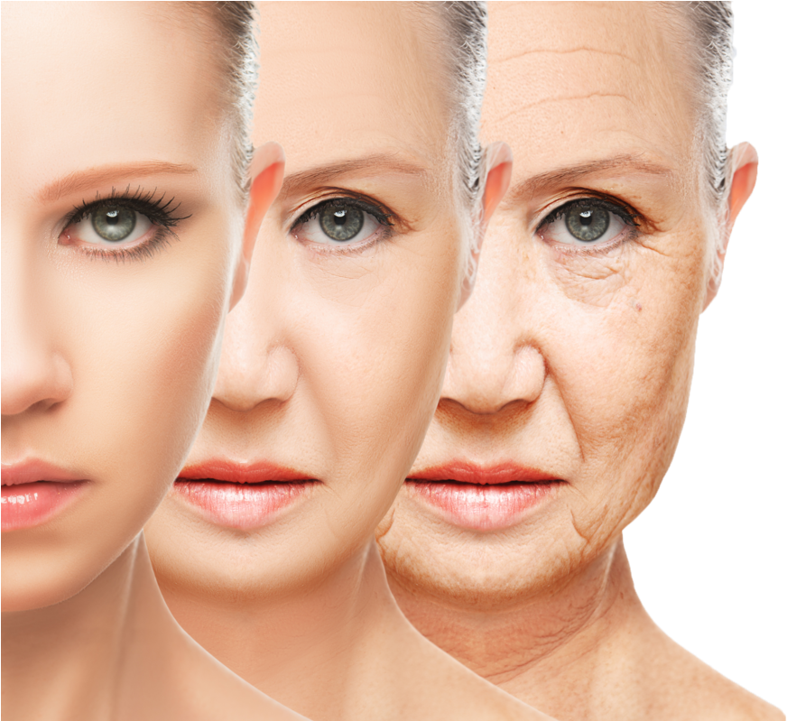 Does Anti Wrinkle Cream Work - Effects Of Ageing On The Skin (1024x798), Png Download