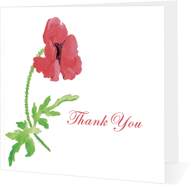 Poppy Thank You - Poppy (750x750), Png Download