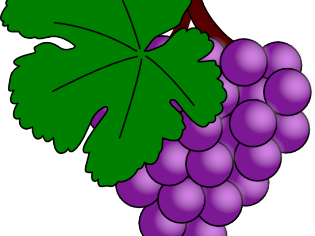 Original - Grapes Clip Art (640x480), Png Download