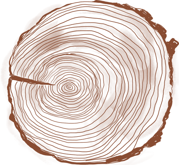 The Rings Are The Concentric Circles That Can Be Seen - Tree Cross Section Png (611x563), Png Download