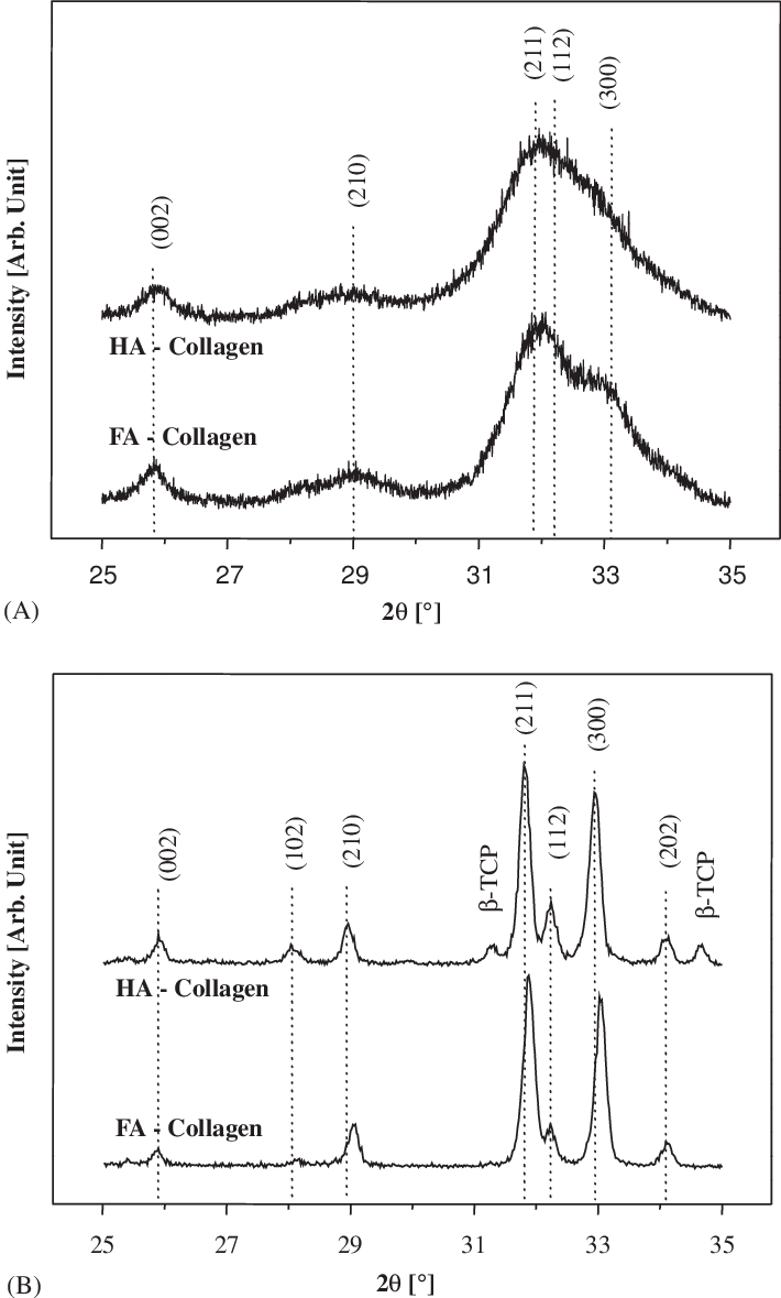 Xrd Patterns Of Ha And Fa Collagen Composites Freezedried - Diagram (710x1179), Png Download
