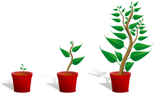 Coffee Plant Clipart Tumbuhan - Getting To Know Plants (500x302), Png Download