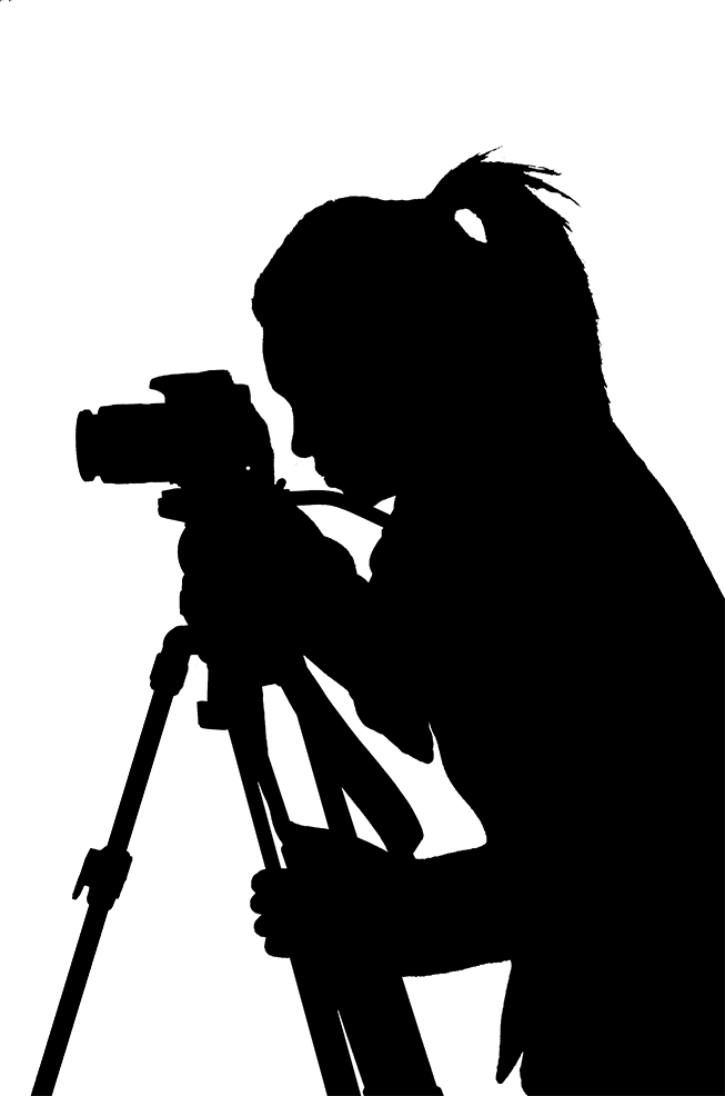 Tpp Silouette - Transparent Filmmaking (653x986), Png Download