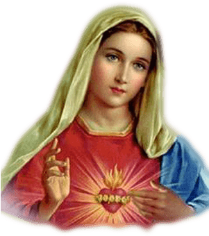 St Mary Heart Front - Mother Mary (400x400), Png Download