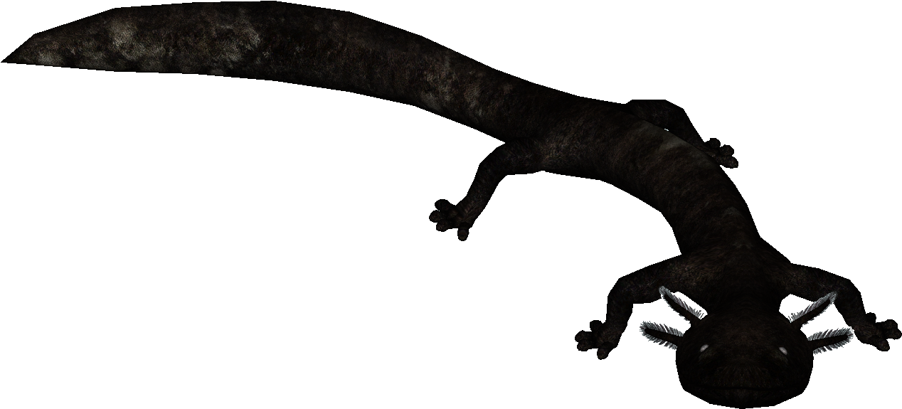 Hook Island Sea Monster (1267x1267), Png Download