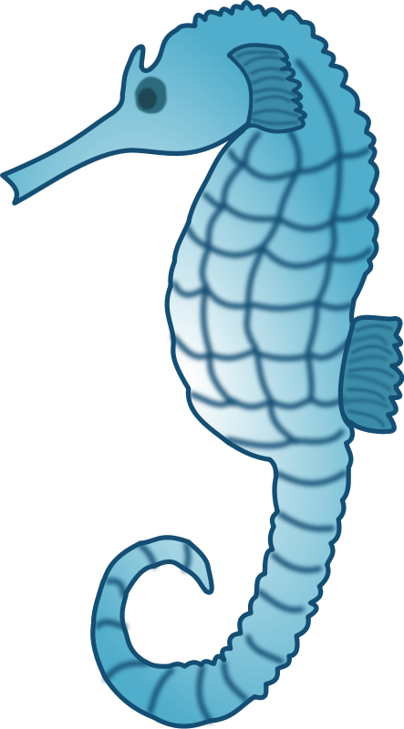 Free To Use & Public Domain Sea Creatures Clip Art - Sea Creatures Clipart Png (443x800), Png Download