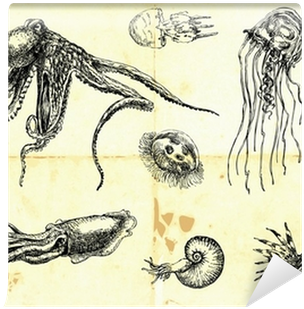 Drawing 3d Sea Monster - Mounstros Marinos Ilustraciones (400x400), Png Download