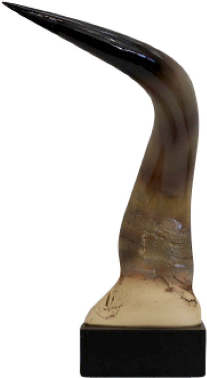 Bull Horn Ornament - Bronze Sculpture (800x800), Png Download