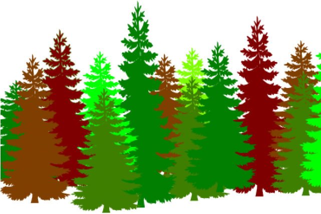 Christmas Trees Clipart - Forest Clipart (640x480), Png Download