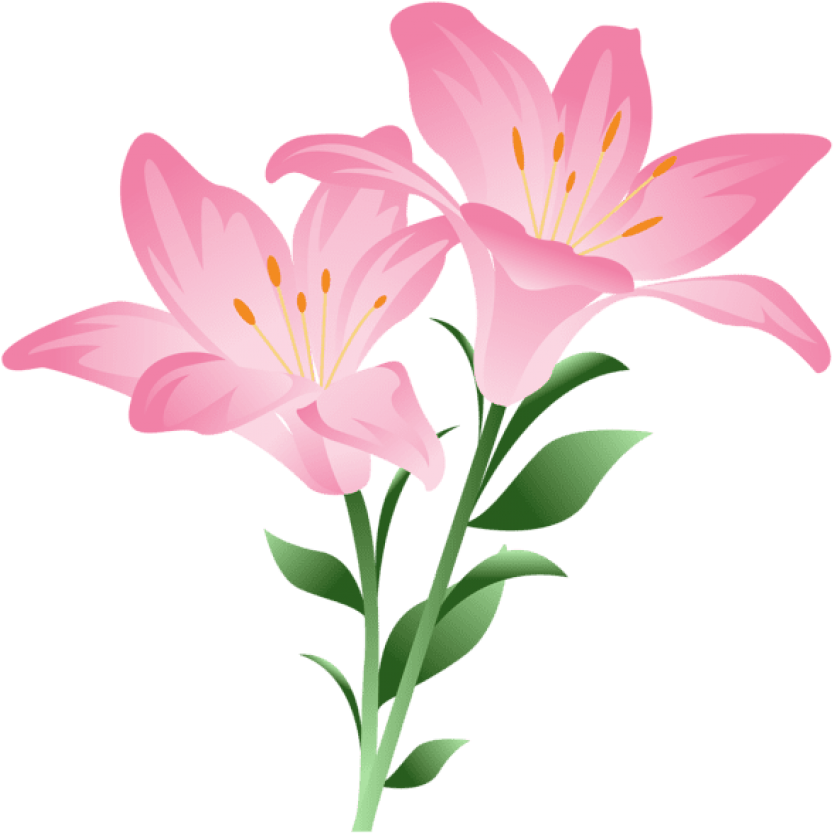 Scrapbook Images, Lilium, Pink Watercolor, Sticker, - Lilium Clipart (600x594), Png Download