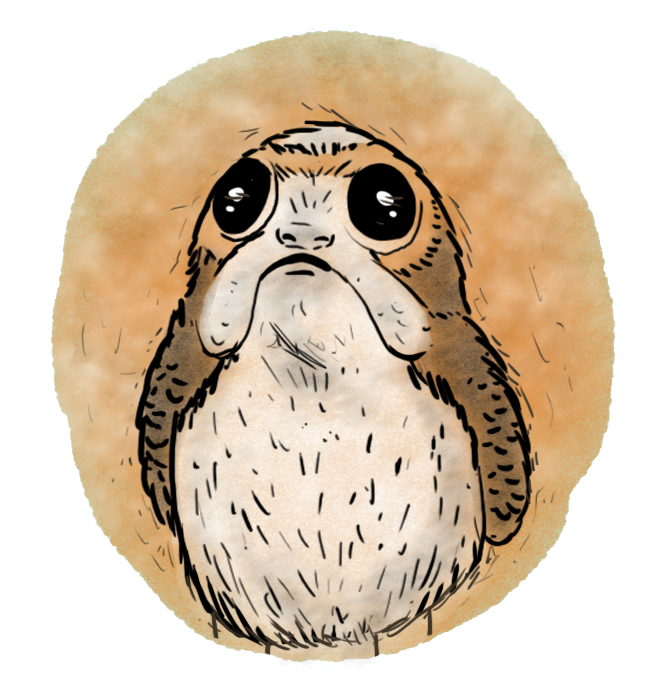 Picture - Walrus (691x691), Png Download