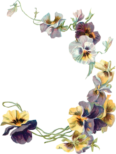 Spring Flowers Tuckdb Org - Tuckdb Org (445x591), Png Download