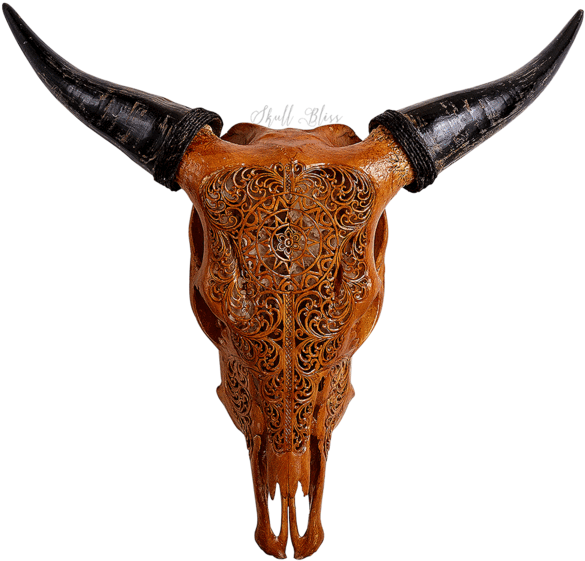 Cattle (600x600), Png Download