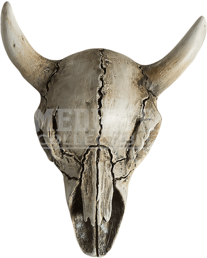 Item - Armadillo (850x850), Png Download