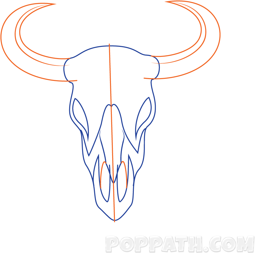 How To Draw A Longhorn Skull (1000x1000), Png Download