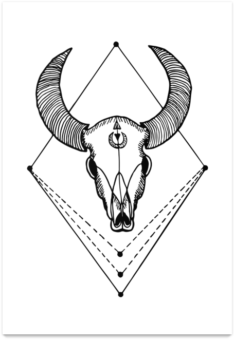 Poster Bull Skull De Drica Gonzalez Andrade Na - Skull (800x800), Png Download