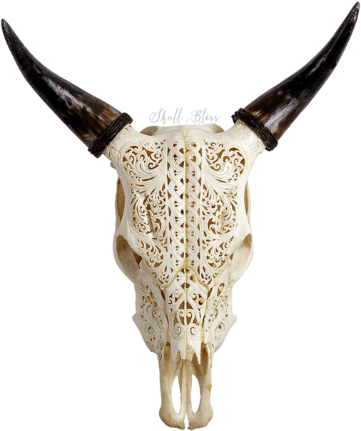 Carved Cow Skull - Skull (645x645), Png Download