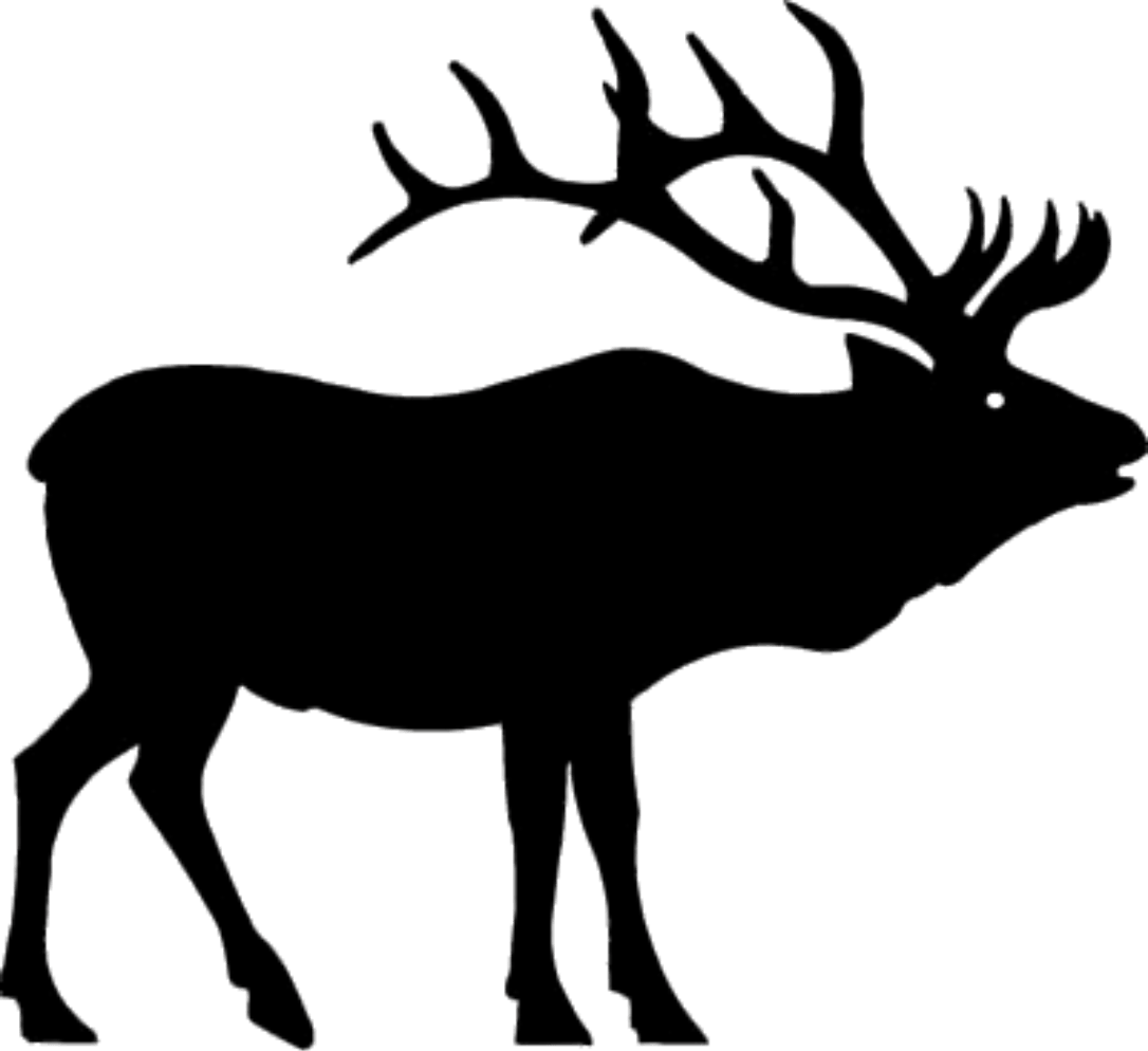 Bull - Elk Clipart (1086x994), Png Download
