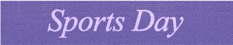 Purple/white Sport Day Ribbon - Banner The Thao (464x348), Png Download