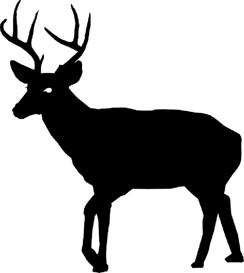 Mb Image/png - Stag Silhouette Png (800x895), Png Download