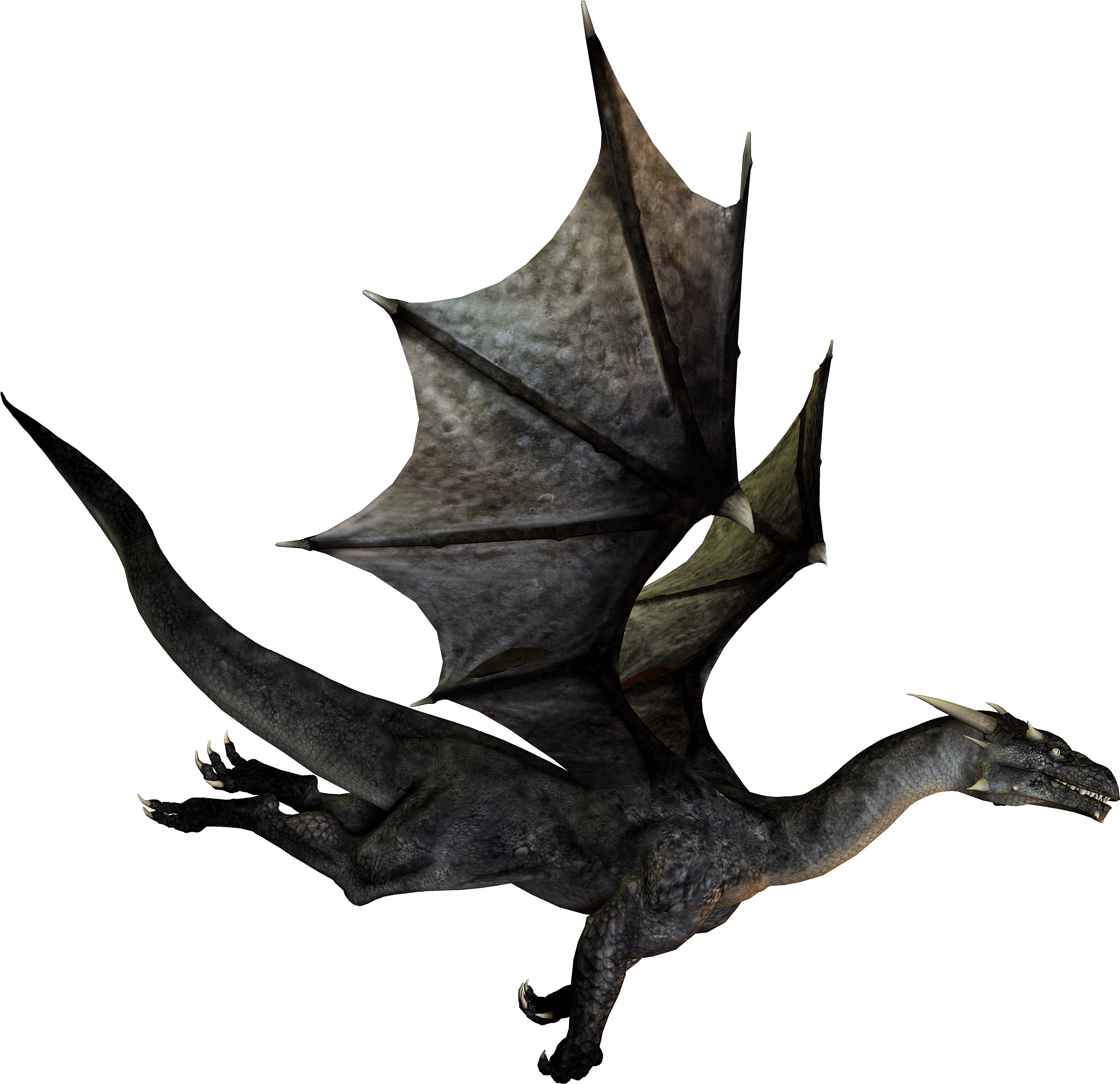 Flying Dragon No Background (2800x2800), Png Download