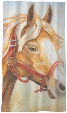 Watercolor Horse Head Illustration Sheer Window Curtain - Watercolor Horse Hair (400x400), Png Download