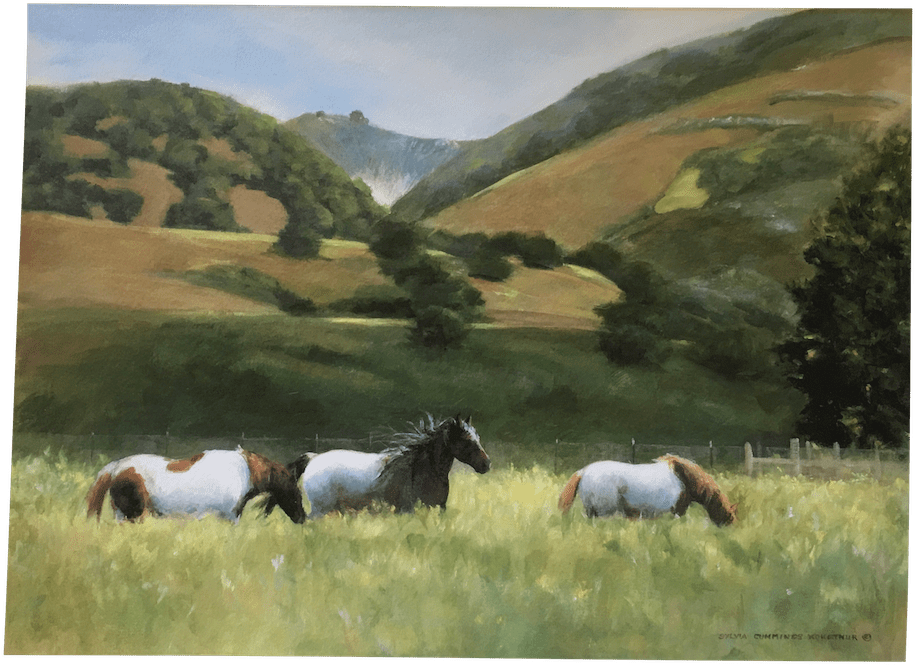 Mustang Horse (1000x725), Png Download