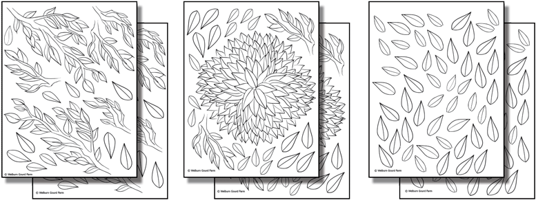 Stick 'n Burn Gourd Tree Lamp Pattern Pack - Gourd Lamp Patterns (800x313), Png Download