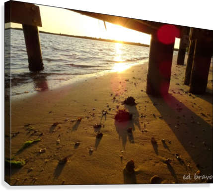 Reflection Of The Sun In The Sand Canvas Print - Beach (429x386), Png Download