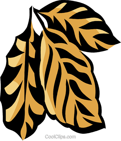 Coffee Plant Royalty Free Vector Clip Art Illustration - Clip Art (412x480), Png Download