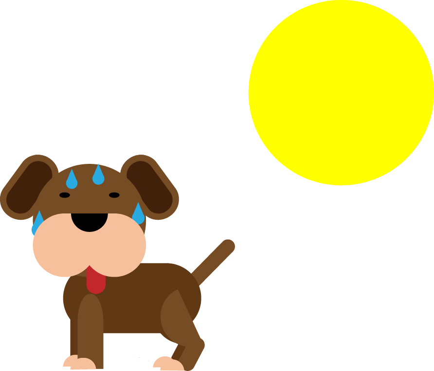 How To Keep Your Dog Cool In The Summer - Dog (892x763), Png Download